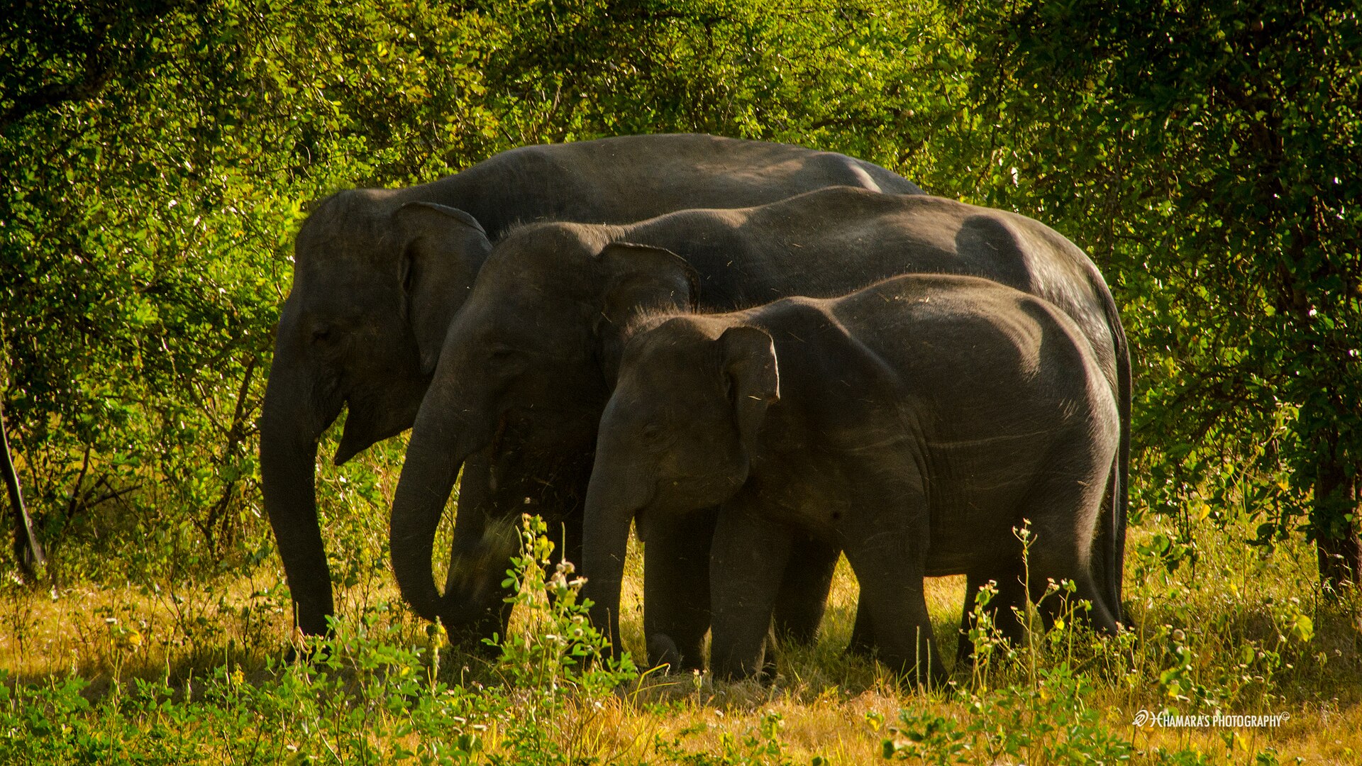 Leopard country and surf beaches of the wild south